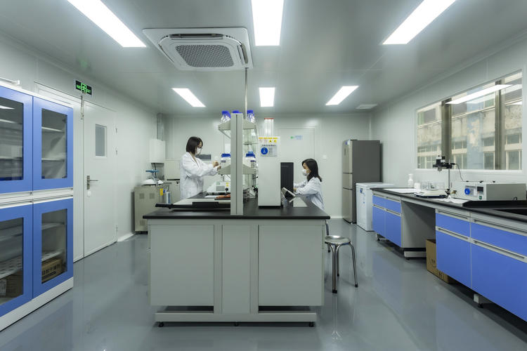 洁净实验室场景，两名穿白大褂的人员在操作检测仪器；灭菌验证与残留溶剂检测只能由受控环境与检测记录支撑