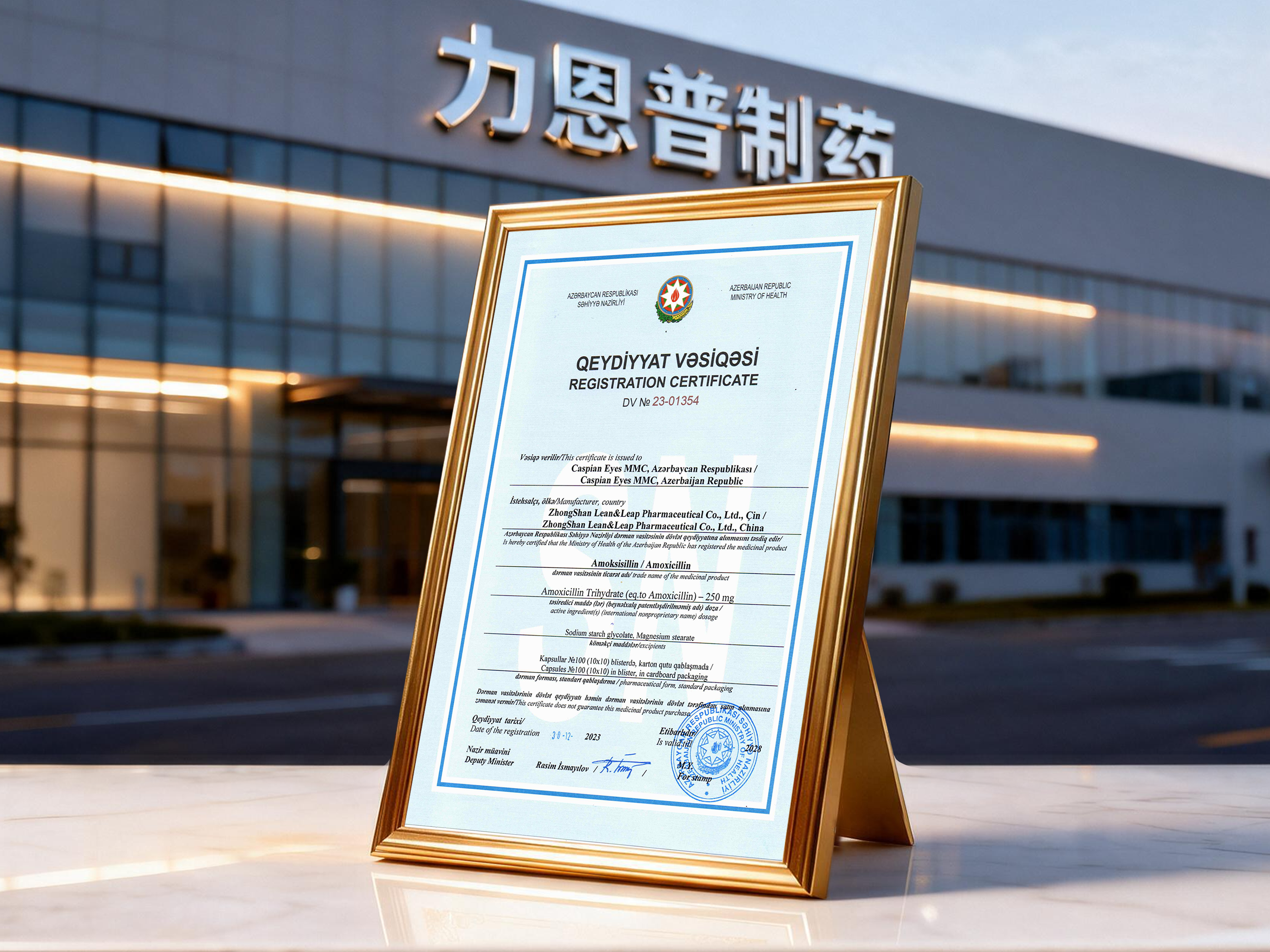 海外注册证示例